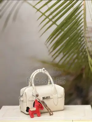 Women Handbags Available in All Colours