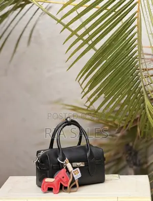 Women Handbags Available in All Colours