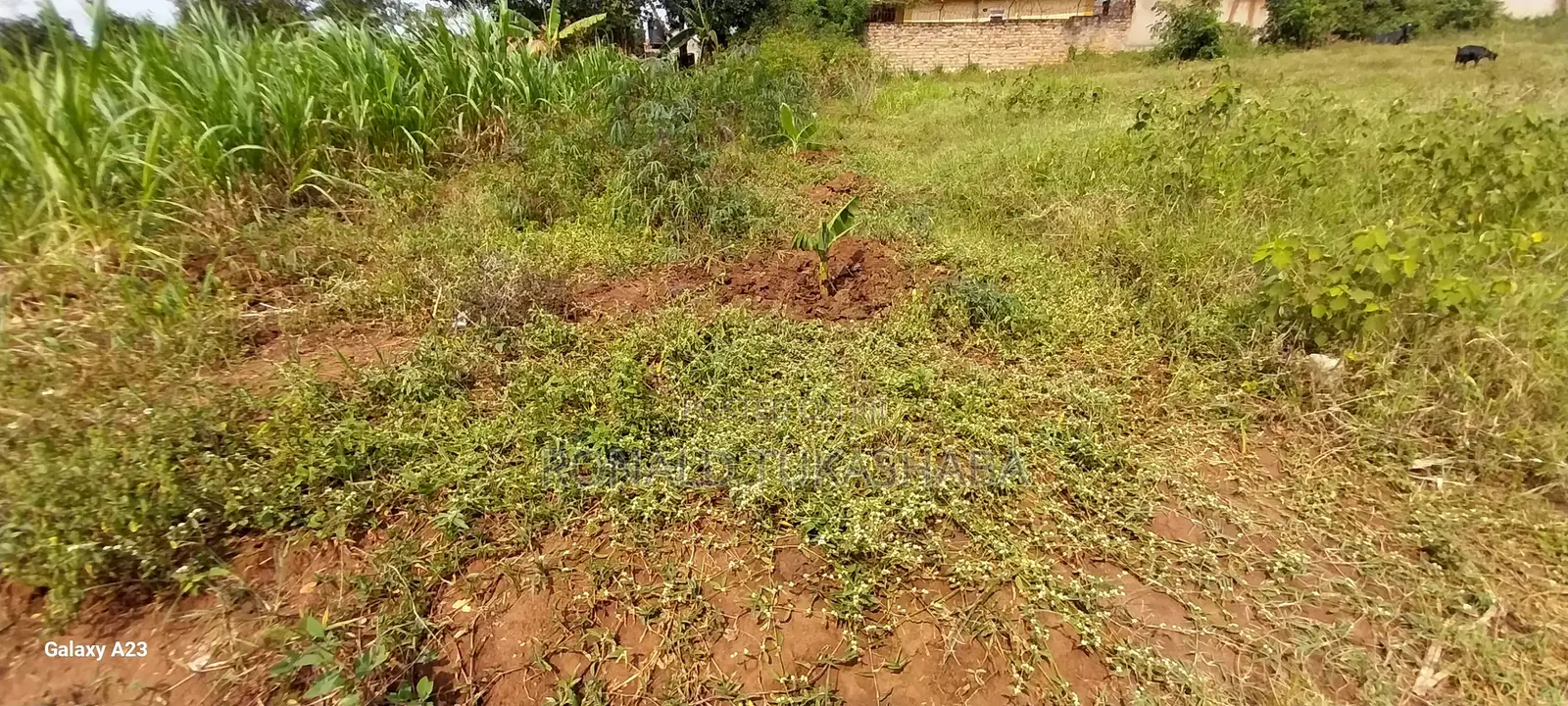 5 Decimals Plot of Land at Kyanja-Kungu for 98m, Slightly Negotiable.