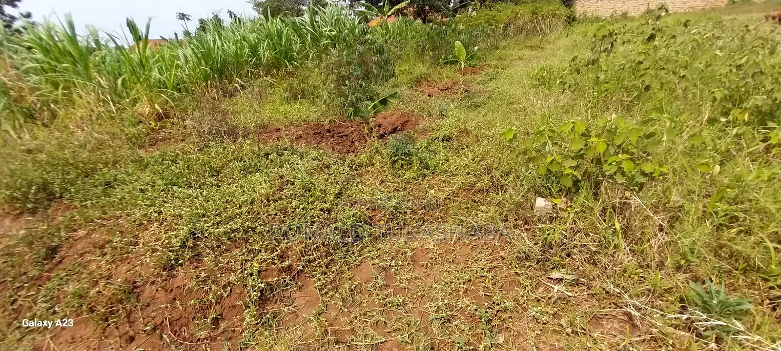5 Decimals Plot of Land at Kyanja-Kungu for 98m, Slightly Negotiable.