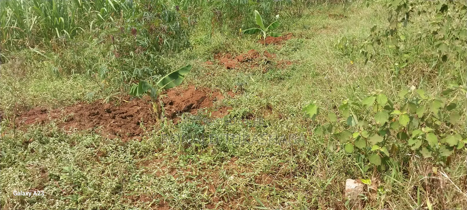 5 Decimals Plot of Land at Kyanja-Kungu for 98m, Slightly Negotiable.