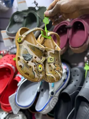 Colorful Children's Character Crocs