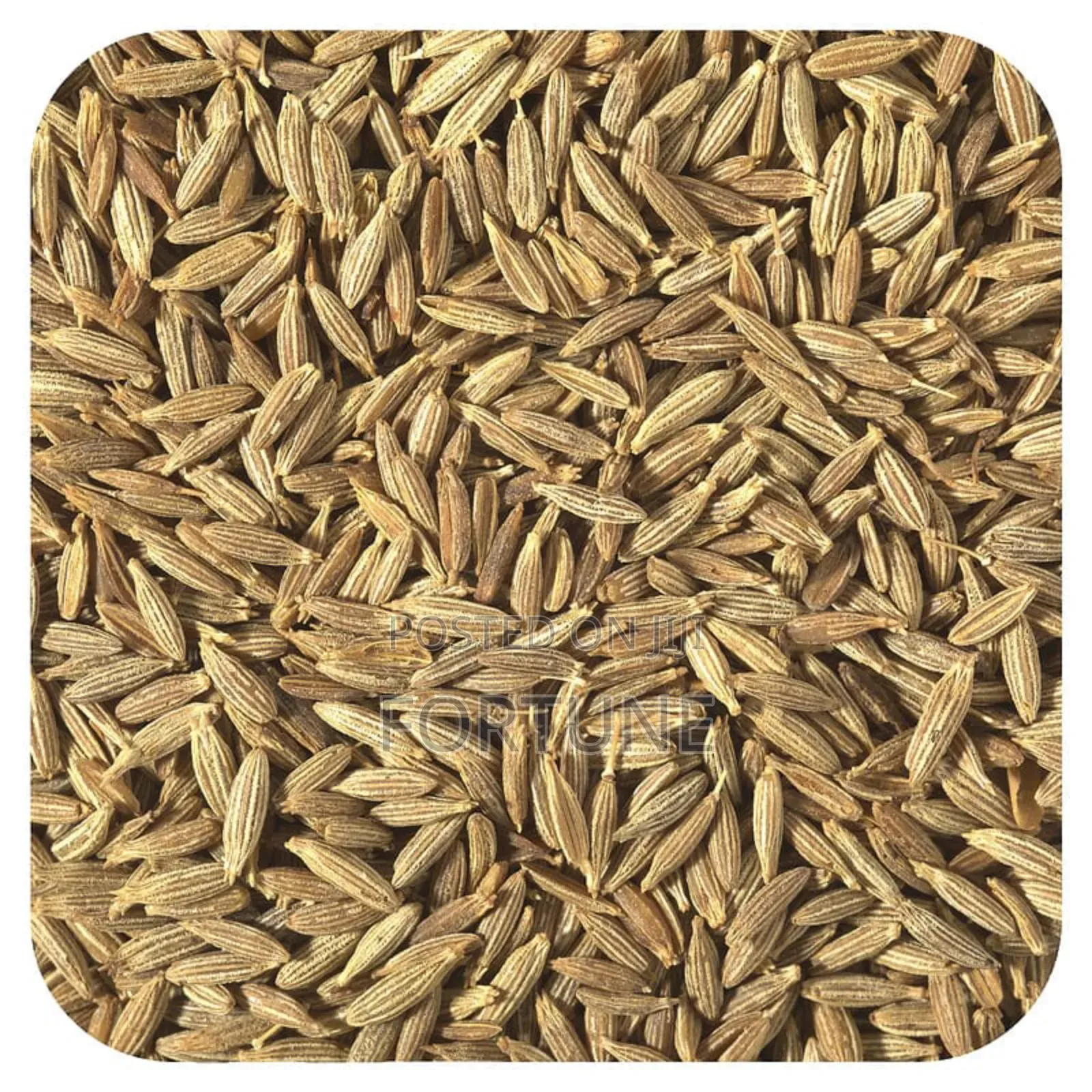 Cumin 500grams