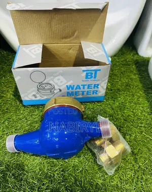 Water Meter