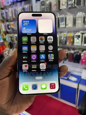Apple iPhone 14 Pro Max 256 GB Gray
