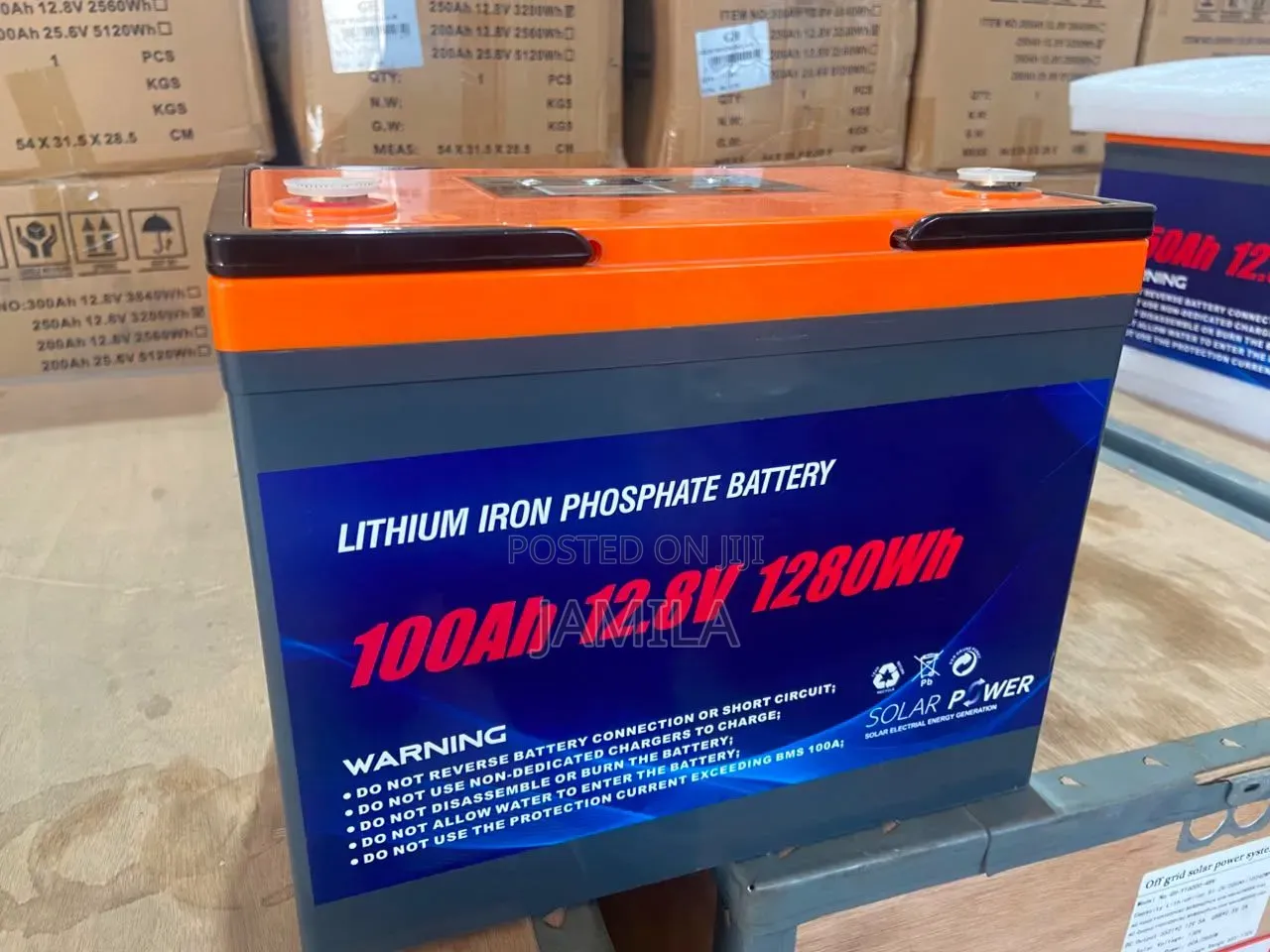 Lithium Iron Phosphate Battery 100Ah-12v