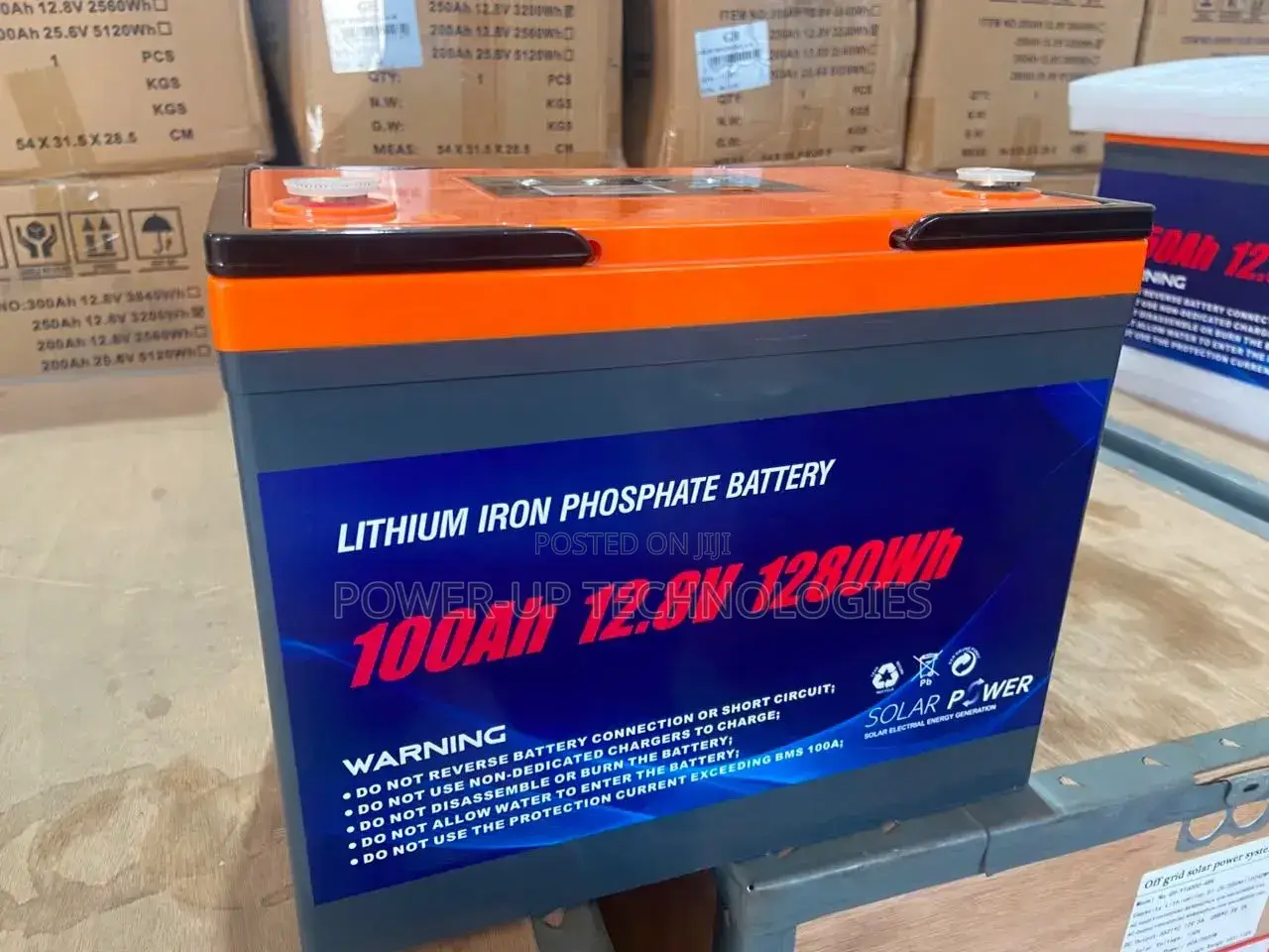 Lithium Iron Phosphate Battery 100Ah-12v