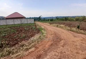 Prime Plots for Sale at Busukuma Land Estate Along Gayaza Road.
