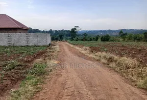Prime Plots for Sale at Busukuma Land Estate Along Gayaza Road.