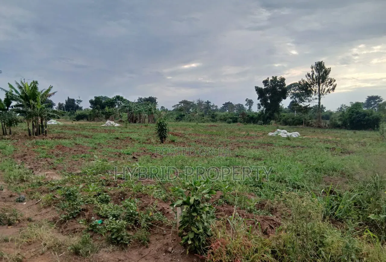 Prime Plots for Sale at Busukuma Land Estate Along Gayaza Road.
