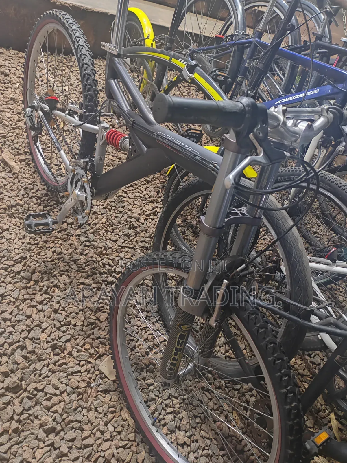 Mountain Bike
