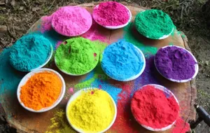 Powder Colours/Holi Colours for Colour Festivals and Parties