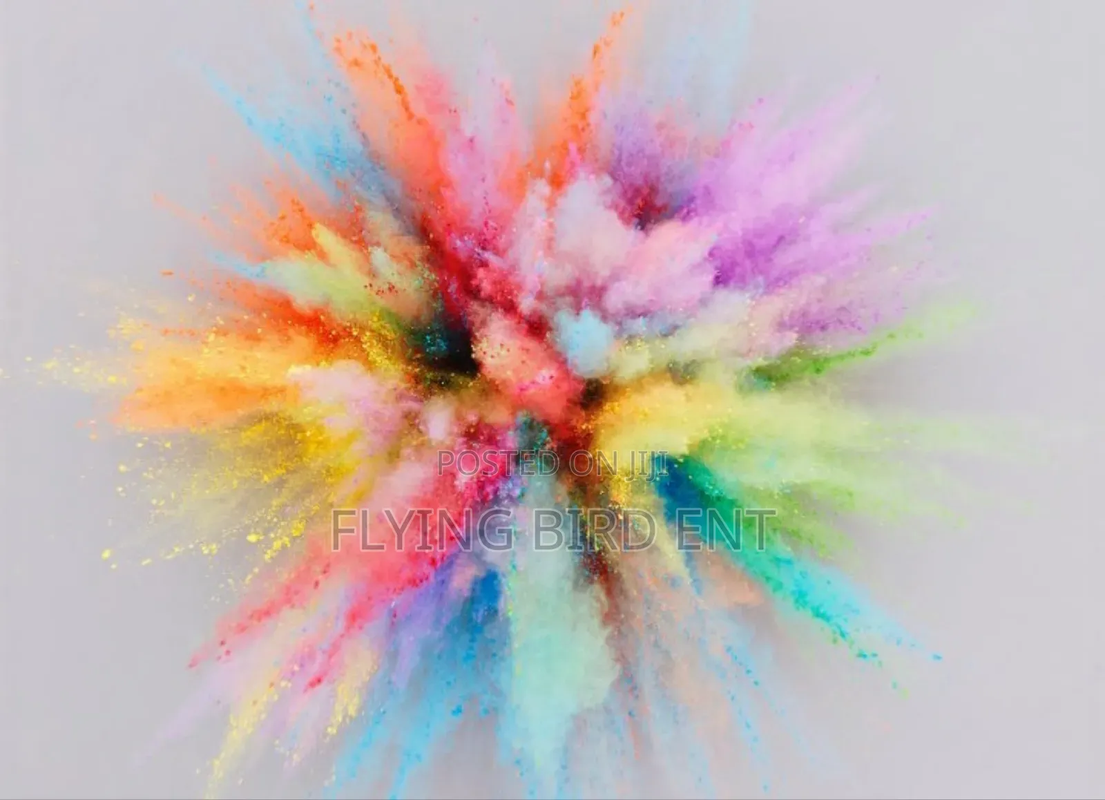 Powder Colours/Holi Colours for Colour Festivals and Parties