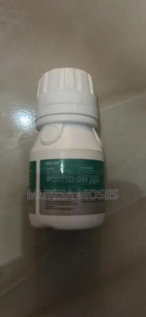 Bedbug Killer