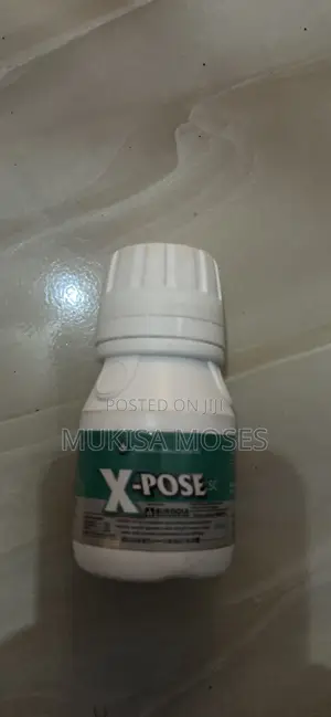 Bedbug Killer