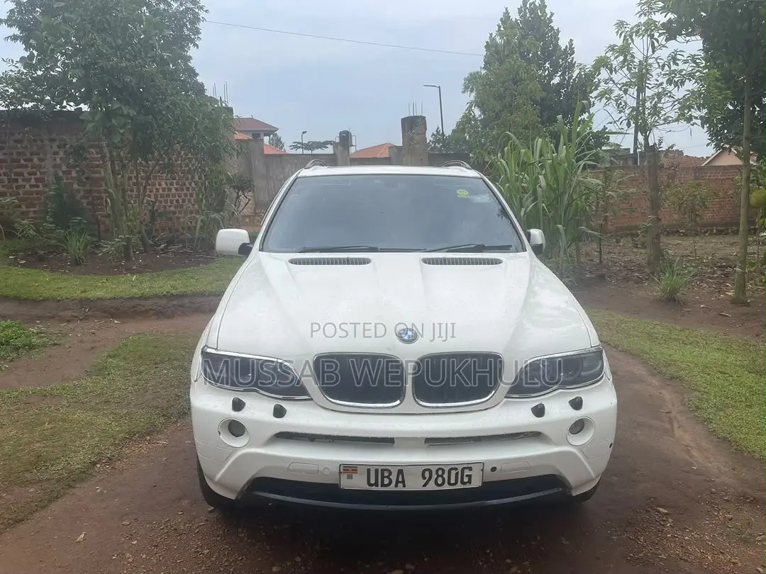 BMW X5 3.0d 2006 White
