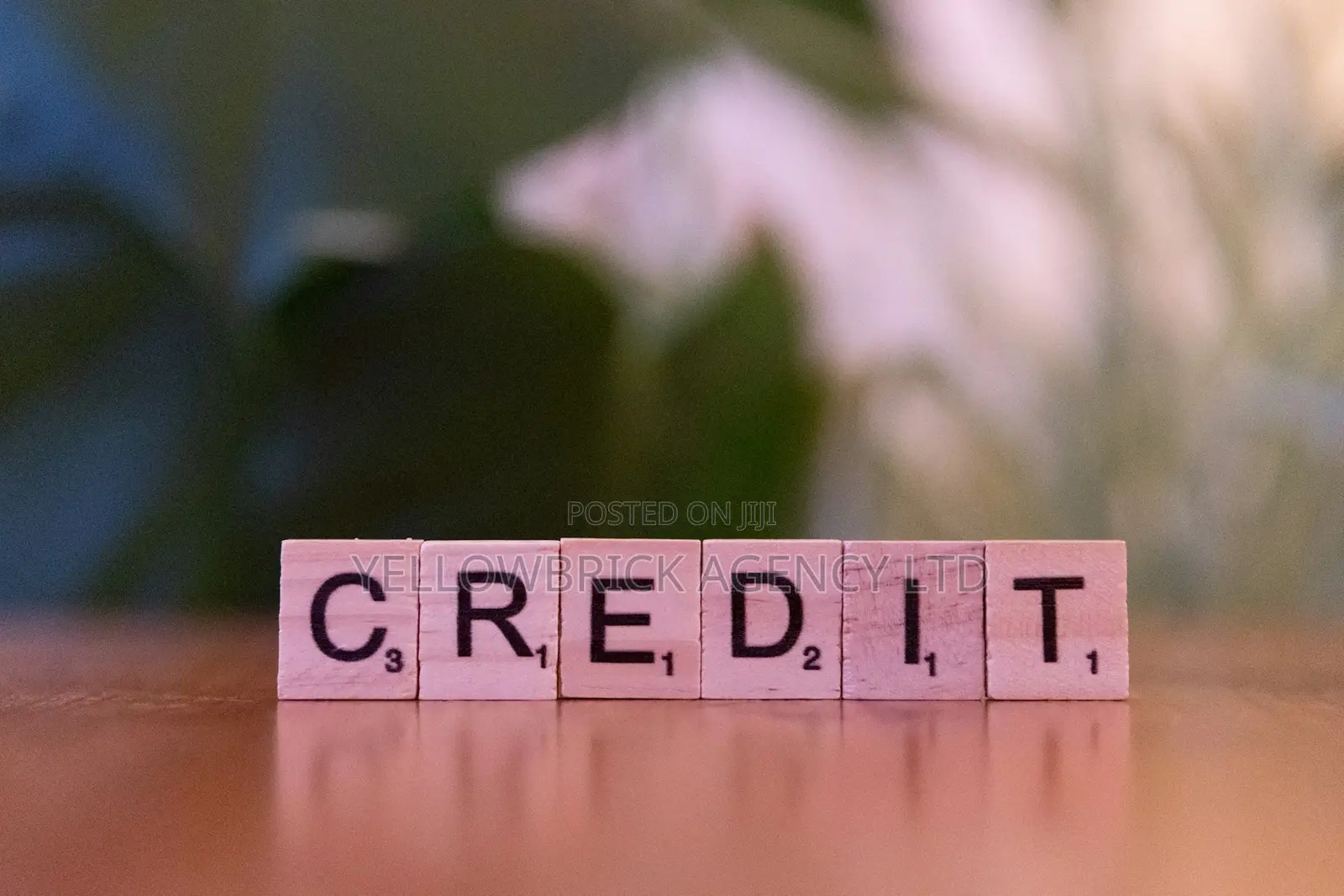Demand Notice Drafting Debt Recovery Letters