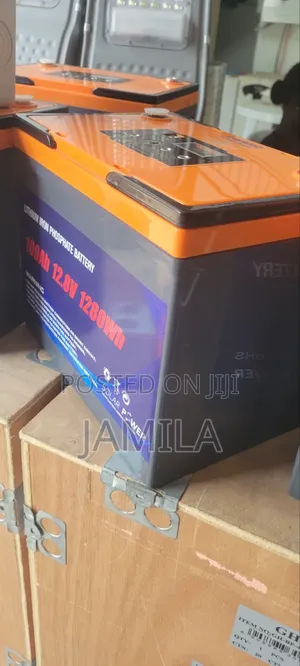 Lithium Iron Phosphate Battery 100Ah-12v
