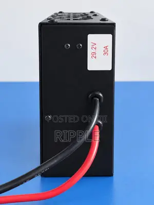 High Current Lithium Battery Charger 29.2V 30A for 24V Batteries