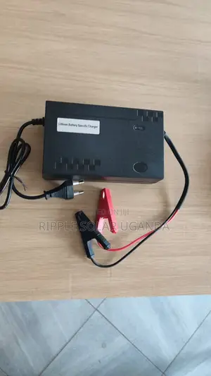 29.2V 10A Lithium Battery Charger – High Current Charger