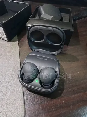 Buds 2 Pro Wireless Bass Earbuds