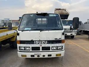 Isuzu Elf Food Truck