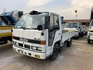 Isuzu Elf Food Truck