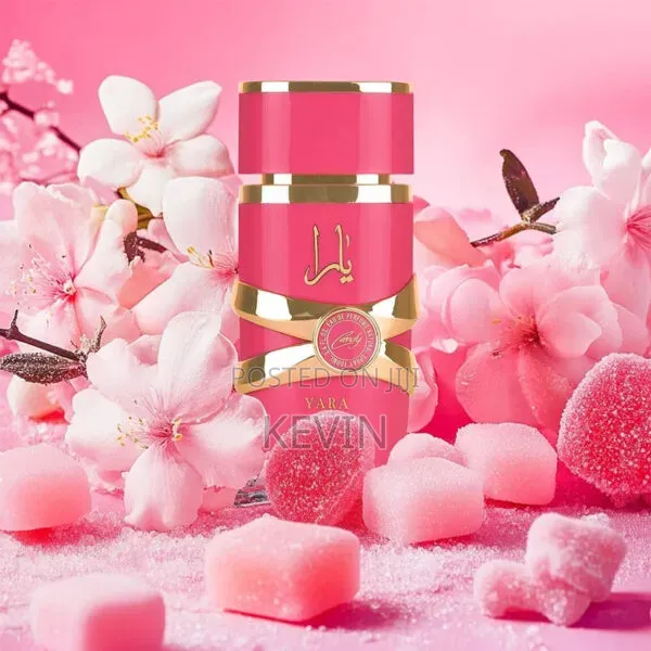 Asad(Bourbon,Zanzibar,Candy,Yara Pink,Yara Tous)