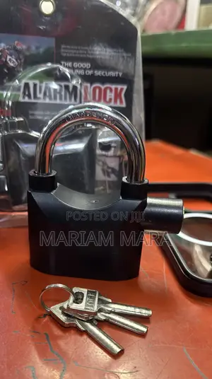 Alarm Paddlock
