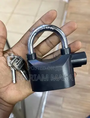Alarm Paddlock