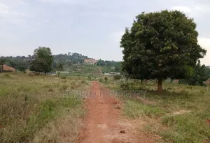 Prime Plots for Sale at Gayaza~Kiwenda Balita Divine Estate~Gayaza Rd.