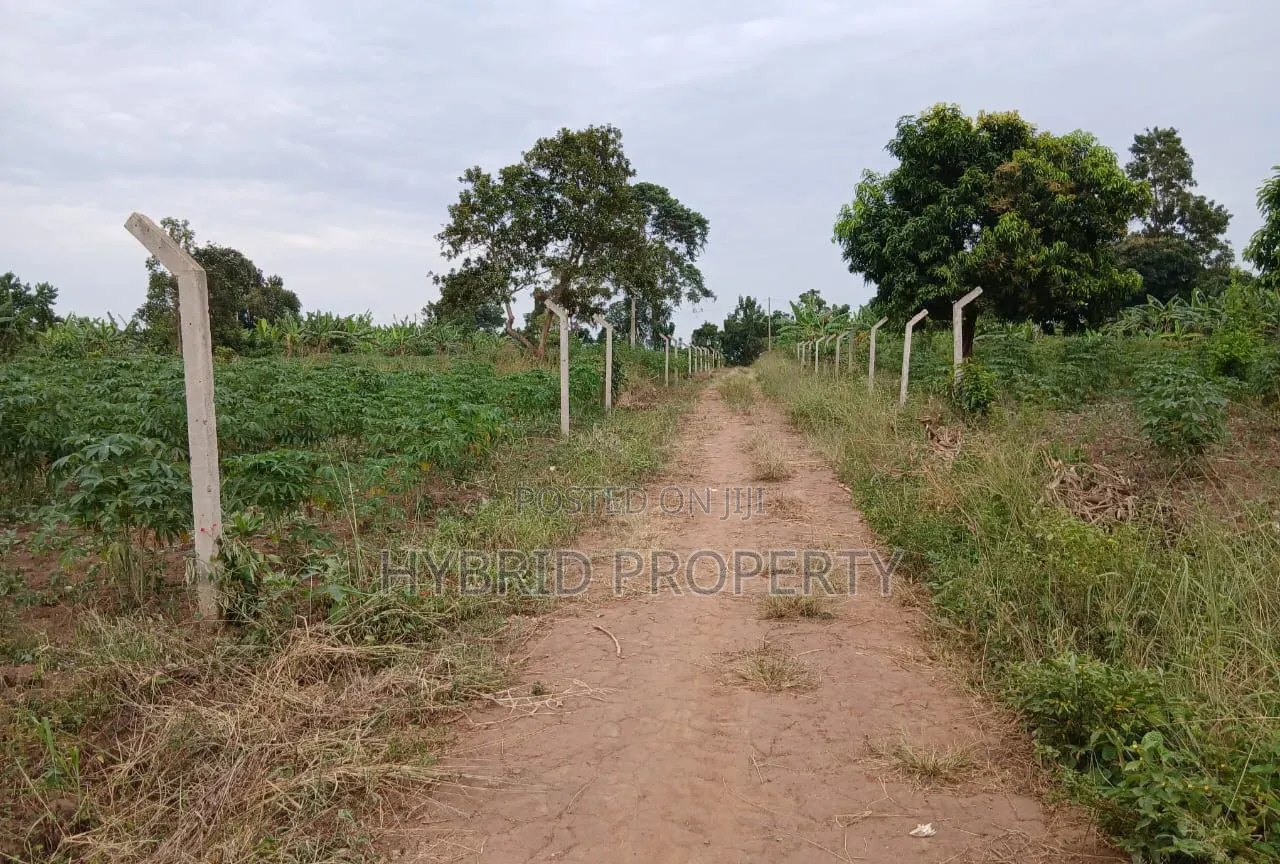 Prime Plots for Sale at Gayaza~Kiwenda Luunga Divine Estate~Gayaza Rd.