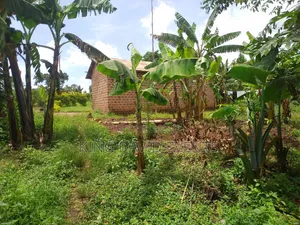 Plot 50 by 100 Namayumba for Sale