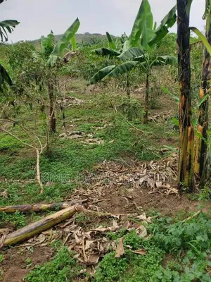 Plot 50 by 100 Namayumba for Sale