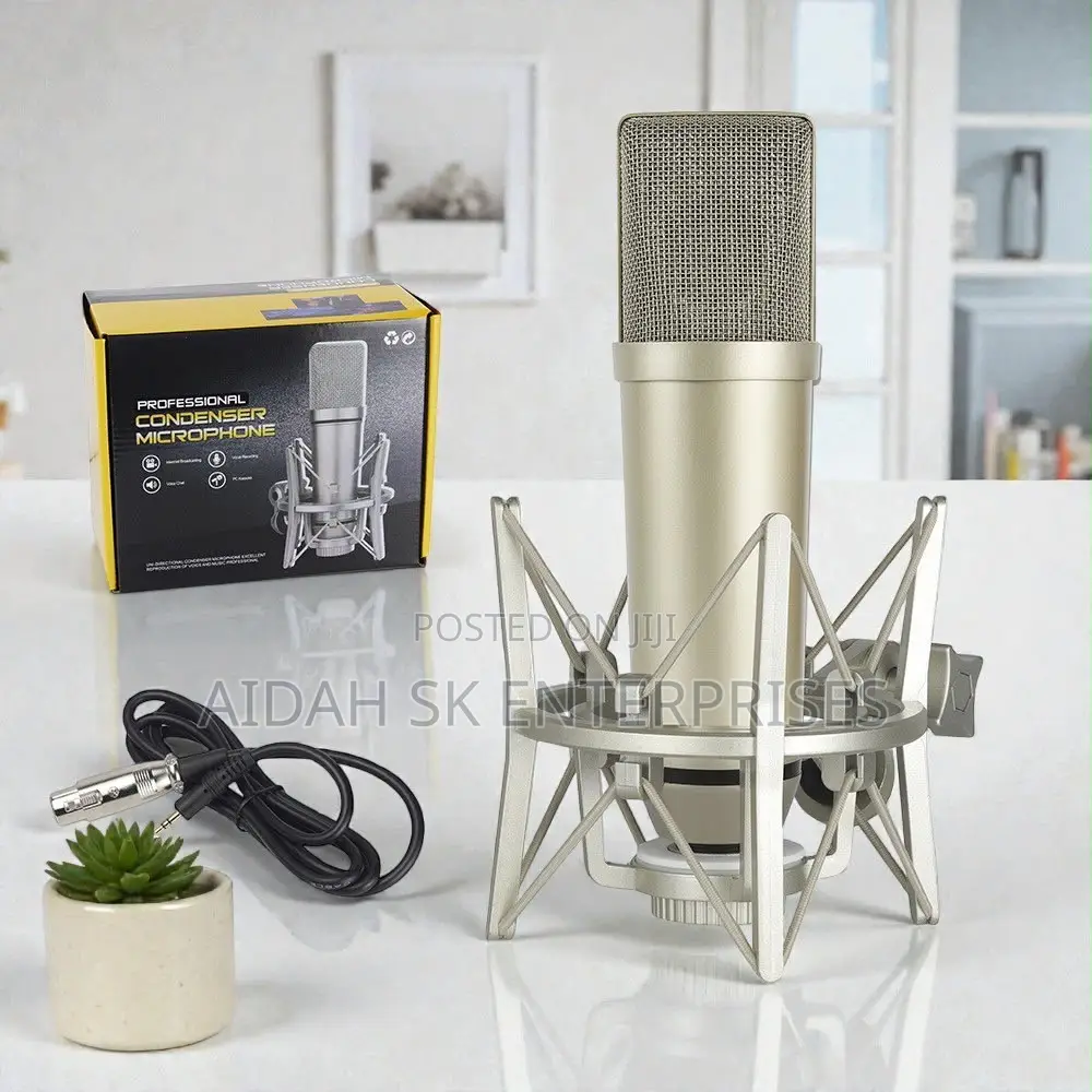 U87 Professional Recording Microphone