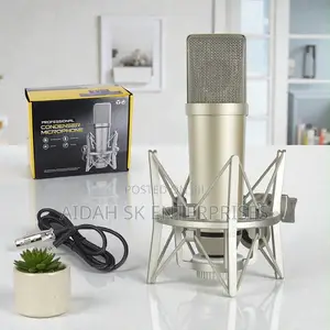 U87 Professional Recording Microphone