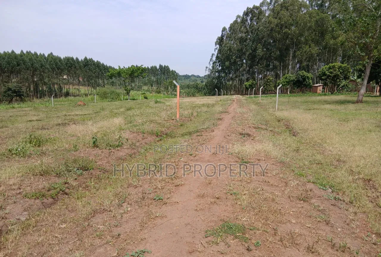 Prime Plots for Sale at Busiika~Kabeembe Land Estate Along Gayaza Road