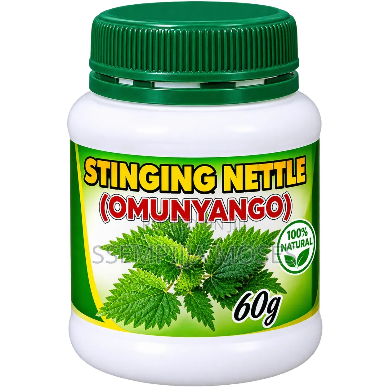 Stinging Nettle