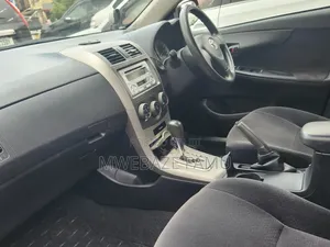 Toyota Corolla Fielder 2010 Silver