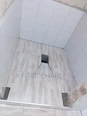 Professional Builder