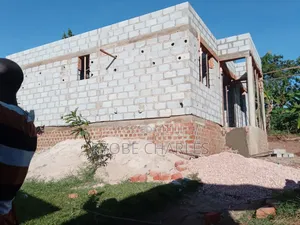 Professional Builder