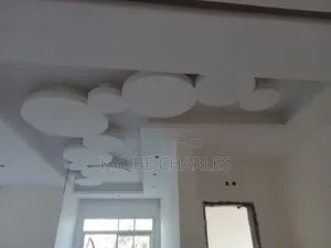 Professional Builder