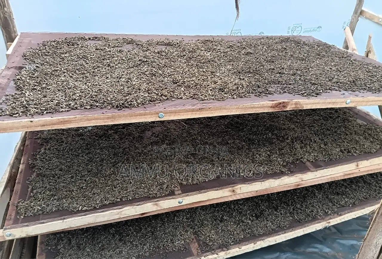 Dried BSF Larvae