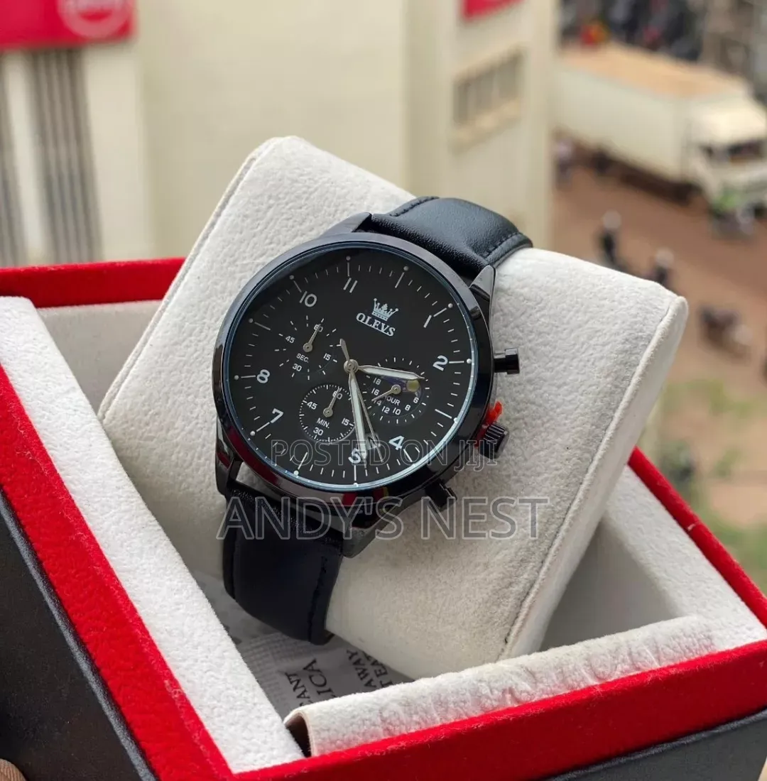 Olevs Men's Watch