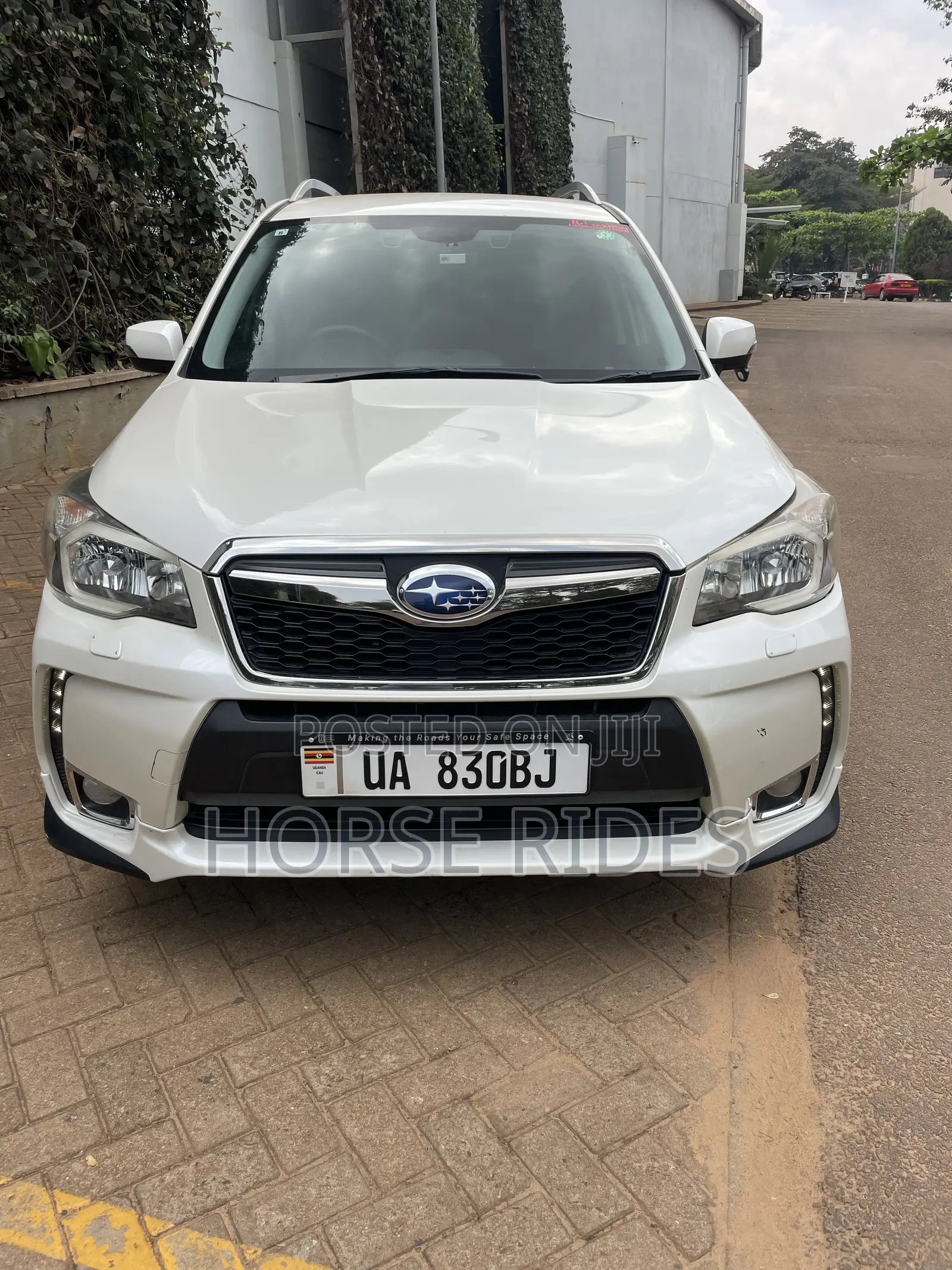 Subaru Forester 2.0XT Premium 4dr SUV AWD (2.0L 4cyl Turbo CVT) 2014