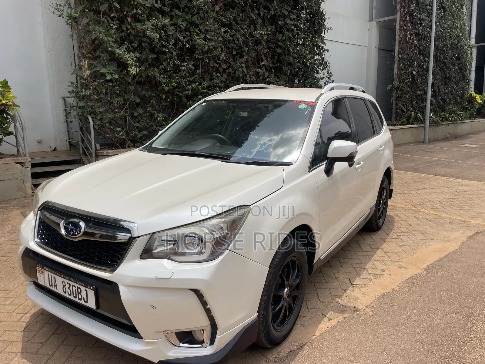 Subaru Forester 2.0XT Premium 4dr SUV AWD (2.0L 4cyl Turbo CVT) 2014