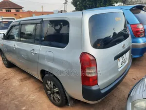 Toyota Probox 2008 Silver