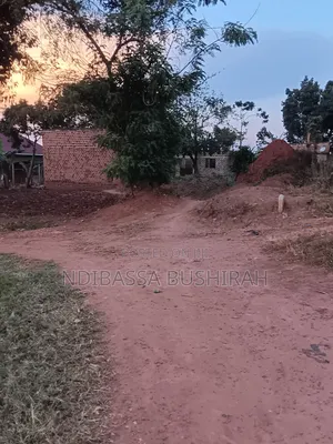 50ft to 50ft Plot