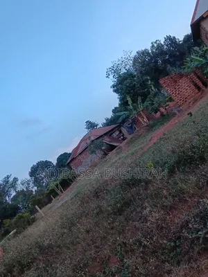 50ft to 50ft Plot