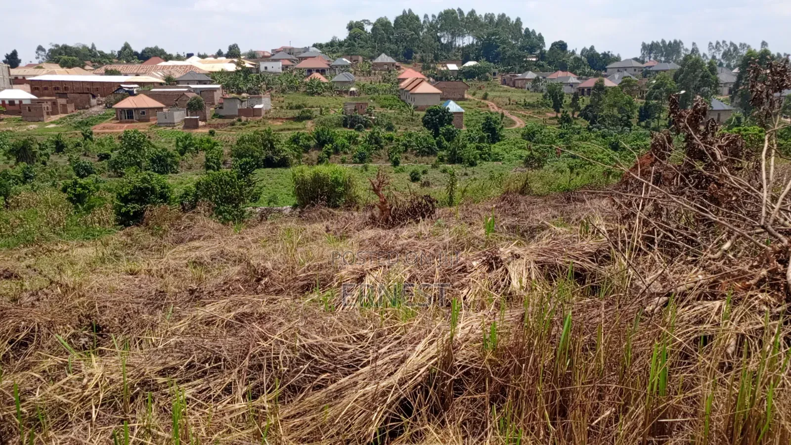 Price Cut: 50x100 at Lukwanga Ssentema Road 1.3km From Center